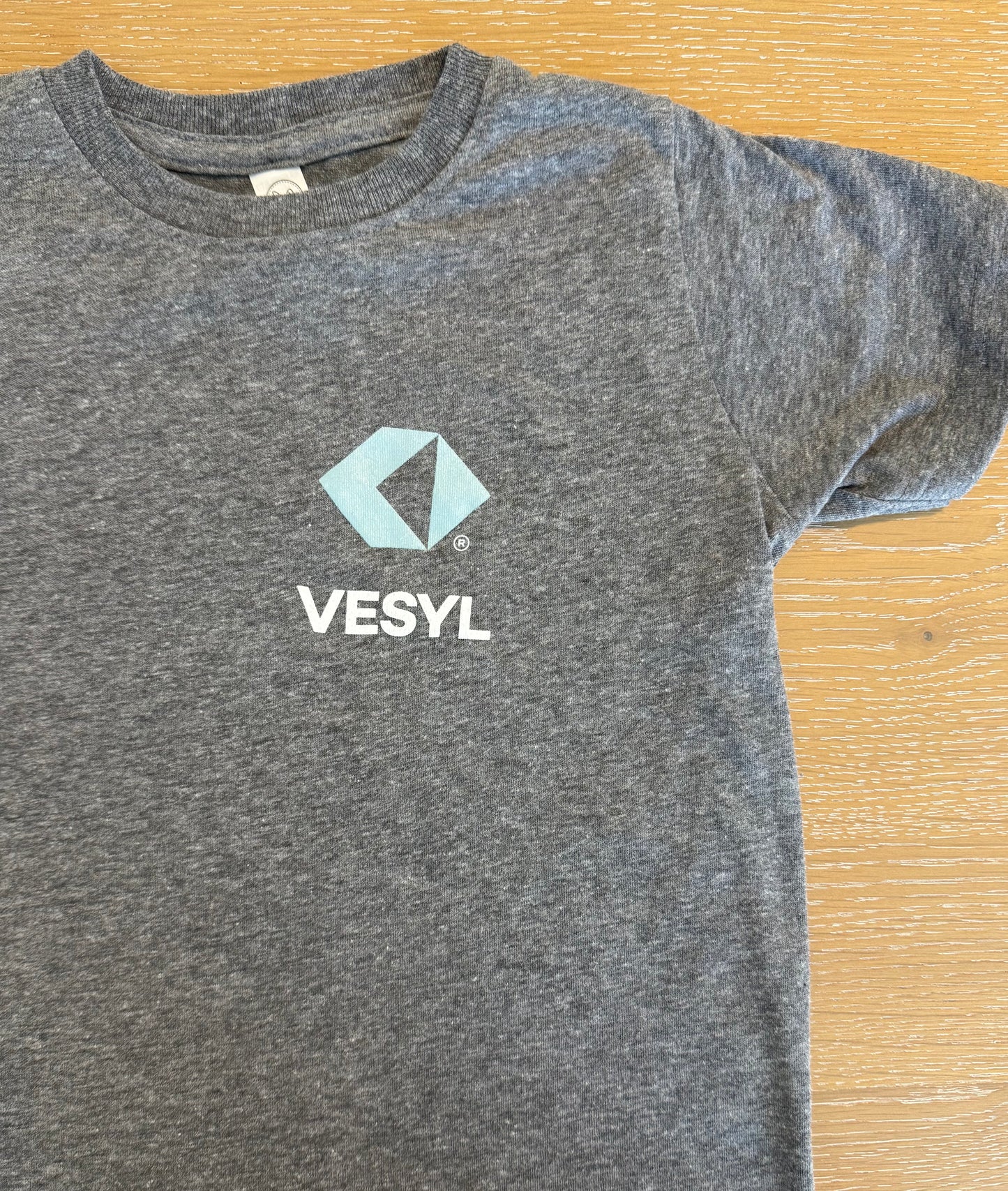 Youth VESYL LOGO Short Sleeve Tee - Gray/blue