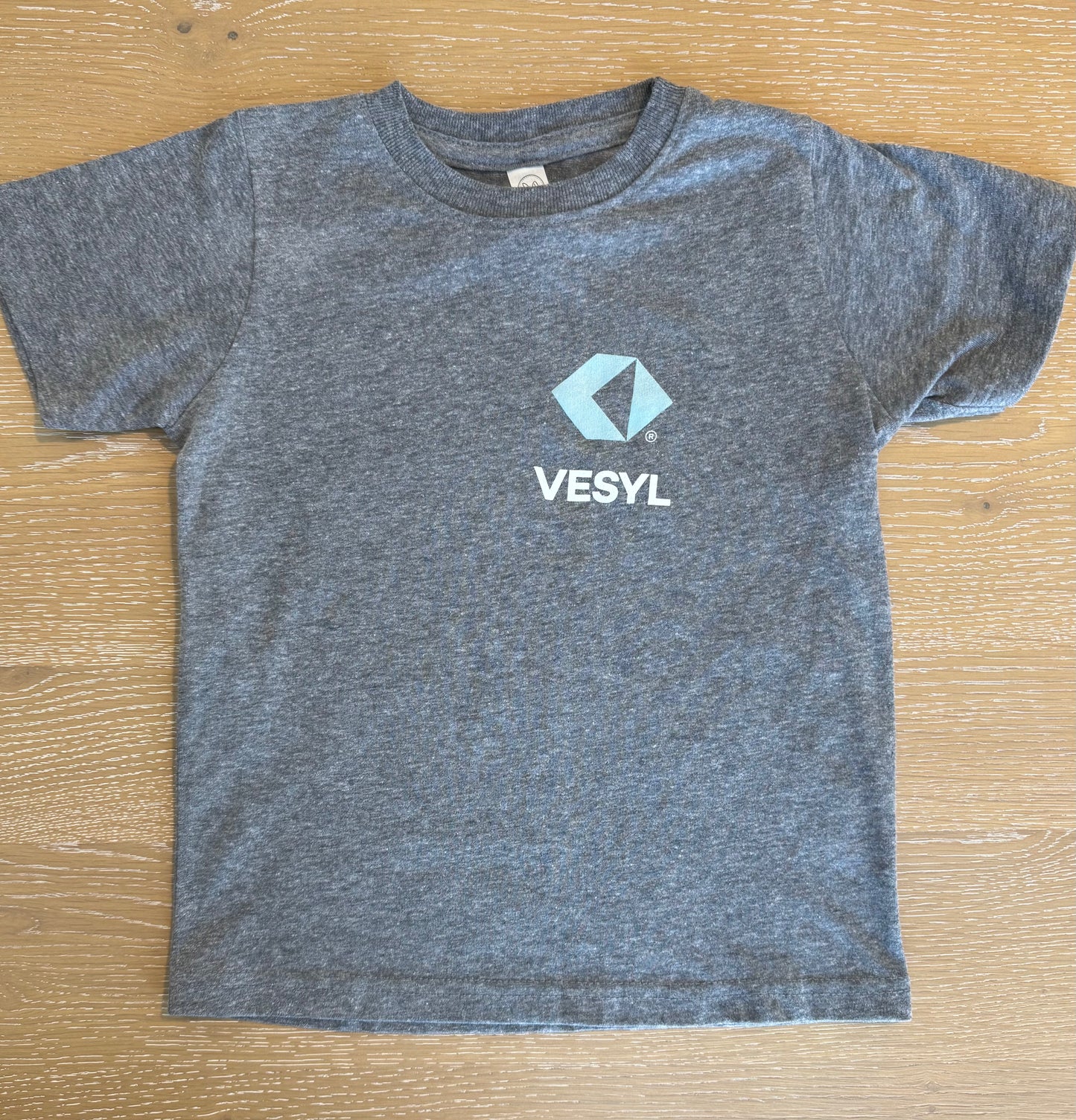 Youth VESYL LOGO Short Sleeve Tee - Gray/blue